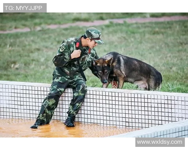李明独家采访足球明星揭秘他们的训练生活与比赛心路历程