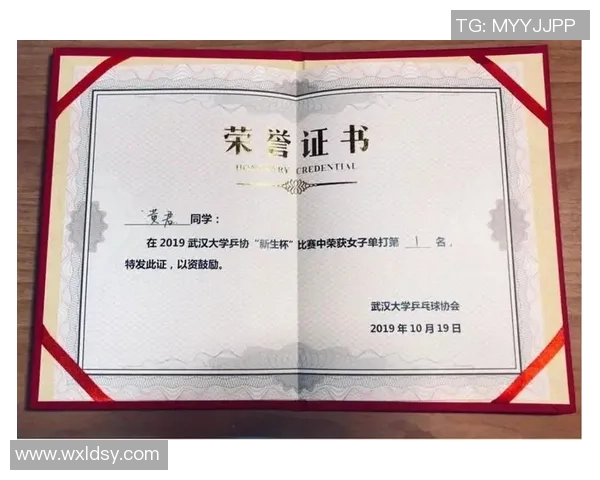 武汉乒乓球队的精神传承与训练理念深度解析